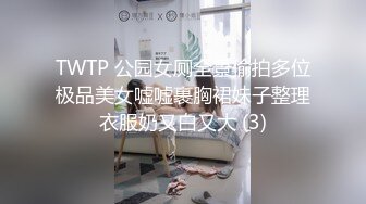 TWTP 公园女厕全景偷拍多位极品美女嘘嘘裹胸裙妹子整理衣服奶又白又大 (3)