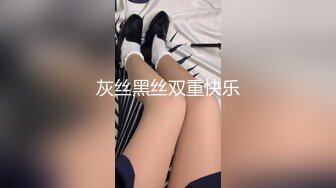 灰丝黑丝双重快乐