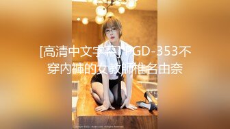 麻豆传媒 mdx-0264 警卫师傅的特殊福利-苡若