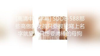 [高清中文字幕] SDDE-588那些高傲的女孩只要被我寫上名字就變成只想要肉棒的母狗