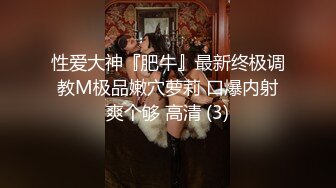 ✿重磅母子乱L后续1✿母子乱L 强上做会计的美腿妈妈上瘾，交欢椅高潮3次，附生活照，1个月内容6文件夹