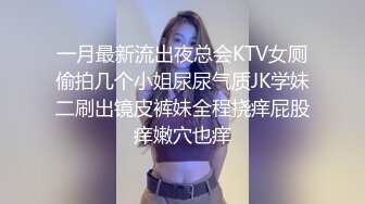 林可菲 公鸡俱乐部