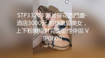 STP33203 新片探花西門慶-酒店3000元 約操氣質美女，上下粉嫩絕對完美型性伴侶 VIP0600