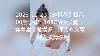 大神【淡定小郎君】10月最全约啪 各女神 26V超级大集合！部分妹子露脸 有大长腿人妻 可爱萝莉学生妹，丝袜大长腿 (2)