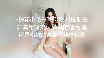 【AV佳丽】巨乳调酒师小野野操她变态的老板