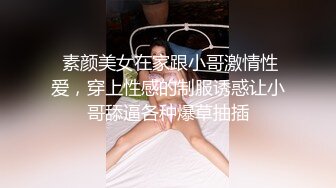 几年前的极品女友2