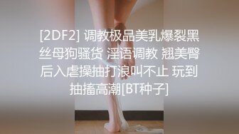 onlyfans【hirarilily】重口味~户外露出~完整版【NV】 (699)