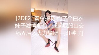 LJ极品地铁高清CD系列20部合集 (20)