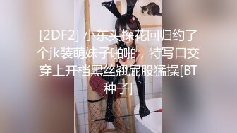 [2DF2] 约了个高顔值混血妹子旅馆啪啪 沙发玩弄一番后到床上狠狠的干[BT种子]