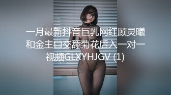 超可爱萝莉美少女与男友性爱自拍四部. (2)