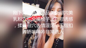 跳舞的老婆2 口交篇