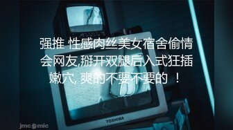 MD-0137 钟丽琪 窃贼误闯入阴道内E奶贵妇强上傻小贼 麻豆传媒映画