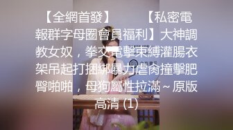 北美无套离异少妇