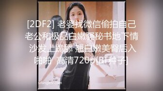 金钱诱惑女同事-韩宝儿