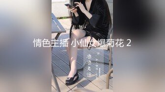 盘点经典的十大里番画风剧情都很赞步兵骑兵任你选