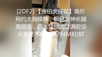 [2DF2] 【唐伯虎探花】高价网约大胸模特，极品女神长腿高颜值，后入猛插发泄满腔浴火高潮不断MP4/94MB][BT种子]