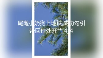 【AI换脸视频】杨幂 性感搜查官被轮流口爆