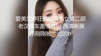 设置好隐藏摄影机、色情书籍和DVD，能拍摄到职场熟女的自慰吗？