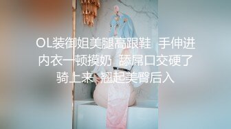 OL装御姐美腿高跟鞋  手伸进内衣一顿摸奶  舔屌口交硬了骑上来  翘起美臀后入