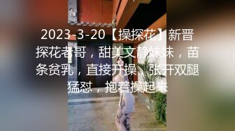 2023-3-20【操探花】新晋探花老哥，甜美文静妹妹，苗条贫乳，直接开操，张开双腿猛怼，抱着操起来