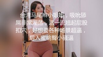 (麻豆傳媒)(md-0303)(20230917)孤注一擲-夏晴子、姚彤彤