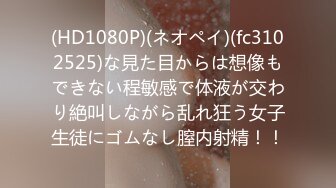 ALDN-231 性処理妻 宝田もなみ