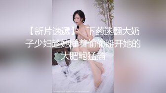 怒草小姨妈