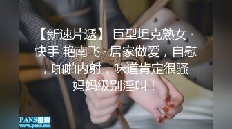 Al—林志玲 大胸女同性恋