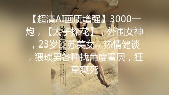 [中文字幕] IPX-324女友的著衣爆乳姊姊不斷對我巨乳全開猛烈示好