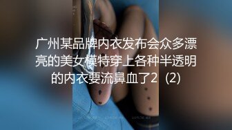 广州某品牌内衣发布会众多漂亮的美女模特穿上各种半透明的内衣要流鼻血了2  (2)