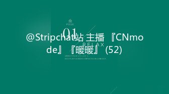 @Stripchat站 主播 『CNmode』『暖暖』 (52)