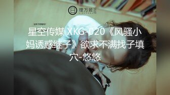 XSJKY-051 温芮欣 到府水电工逆袭性感少妇 性视界传媒