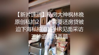 麻豆传媒出品无套系列-南国性爱旅程 火热浪漫的滨海行 无套性爱女优吴梦梦