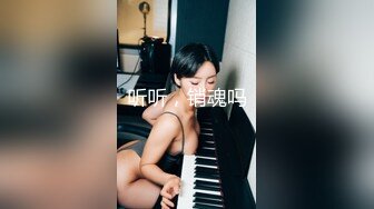 太完美了 满足幻想 AI绘画 付费打包 S级画师PixivID9171005 普通+FANBOX