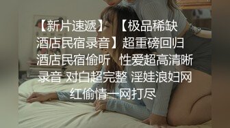 少妇对抗两根肉棒