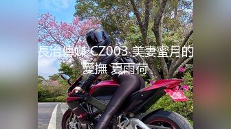 長治傳媒 CZ003 美妻蜜月的愛撫 夏雨荷