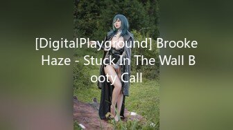 [DigitalPlayground] Brooke Haze - Stuck In The Wall Booty Call