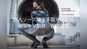 巨乳OL強・制・連・結 エスカレートしていく連日痴漢車両 葵